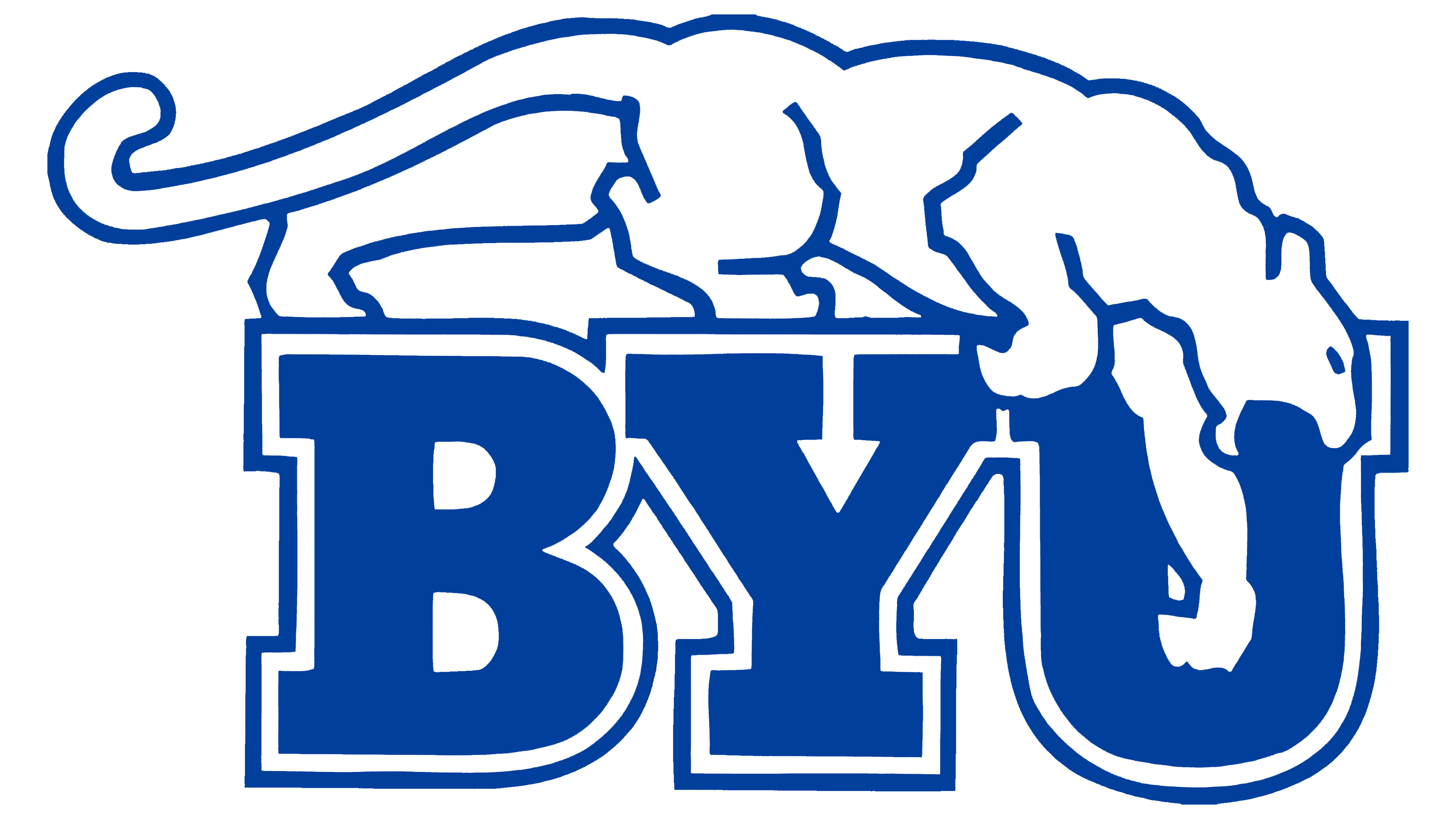 Brigham Young Univeristy